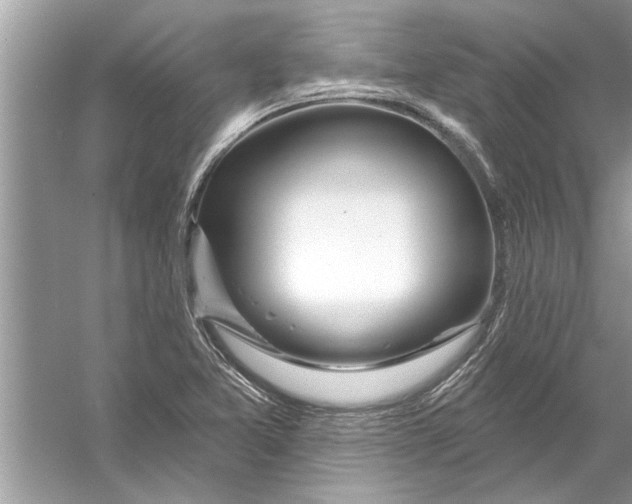 X0000056011365200509162333