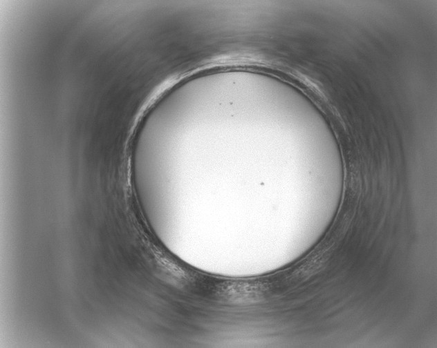 X0000056011366200509162333