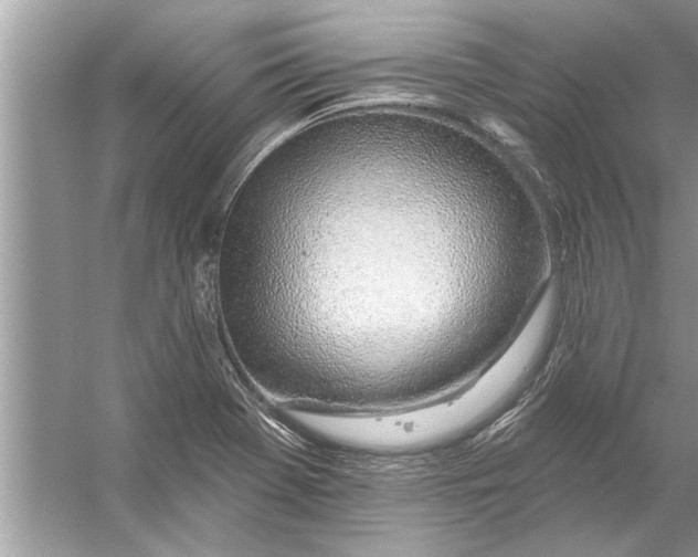 X0000056011369200509162333