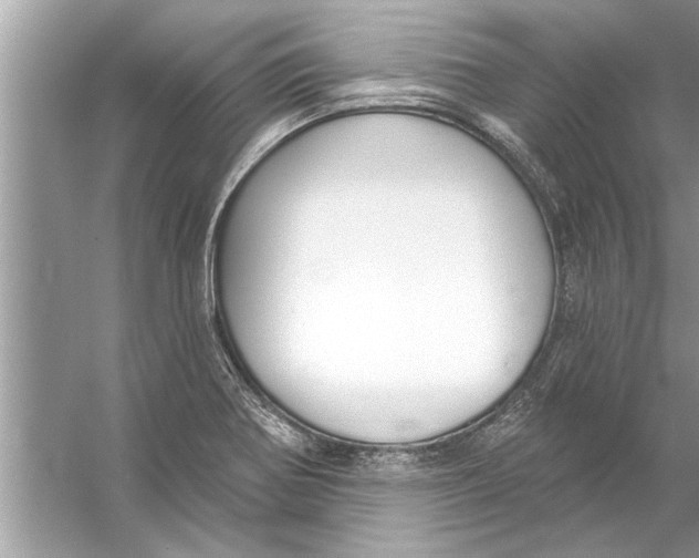 X0000056011370200509162333