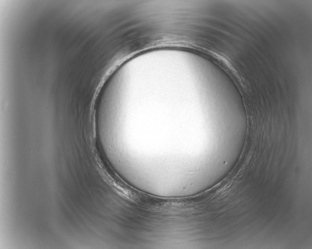 X0000056011371200509162333