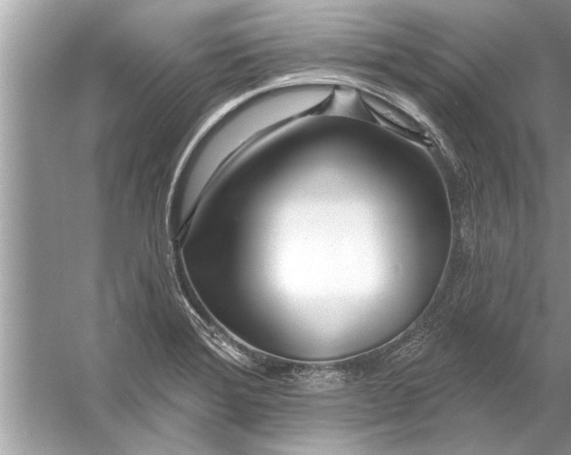 X0000056011372200509162333