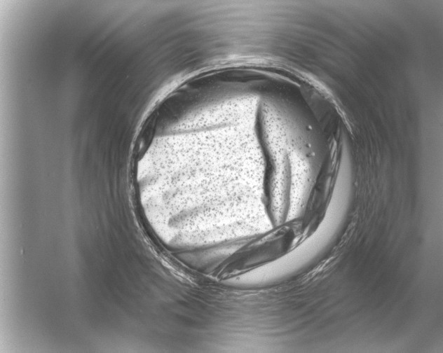 X0000056011373200509162333