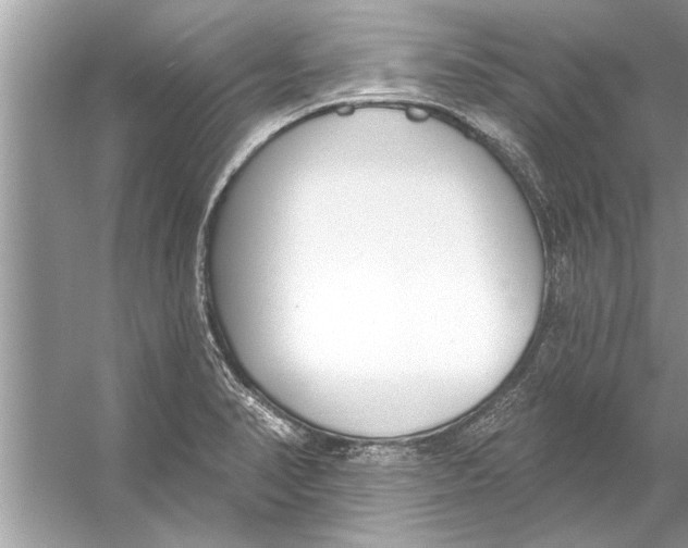 X0000056011374200509162333