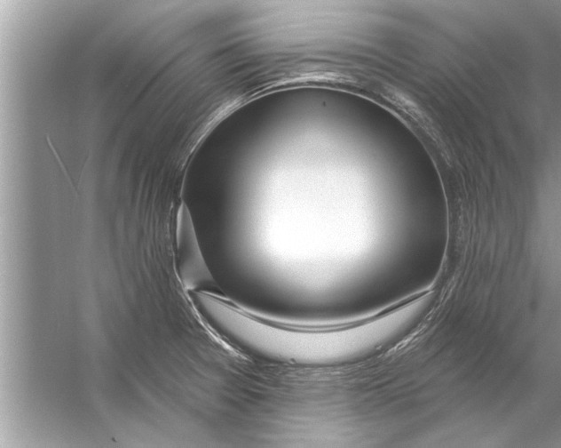 X0000056011377200509162333