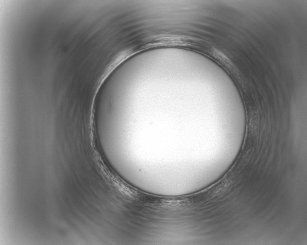 X0000056011378200509162333