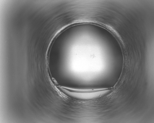 X0000056011380200509162333