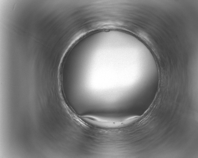 X0000056011384200509162333