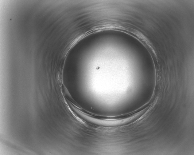 X0000056011385200509162332