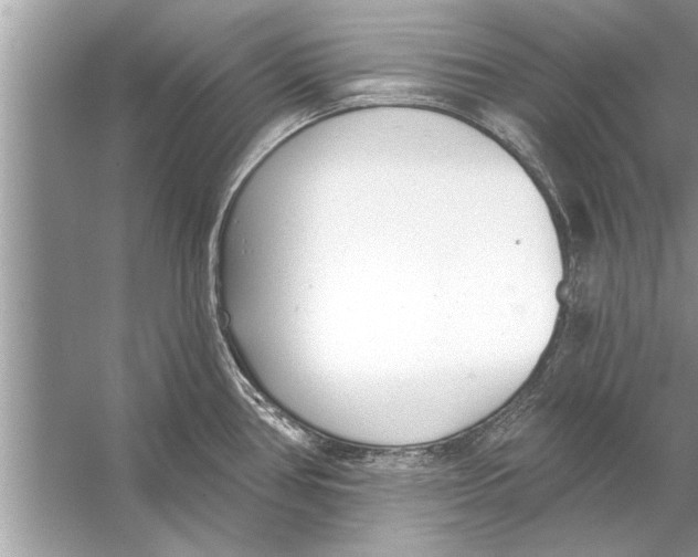 X0000056011386200509162332