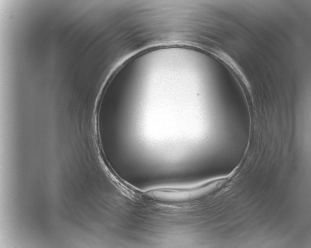 X0000056011388200509162332