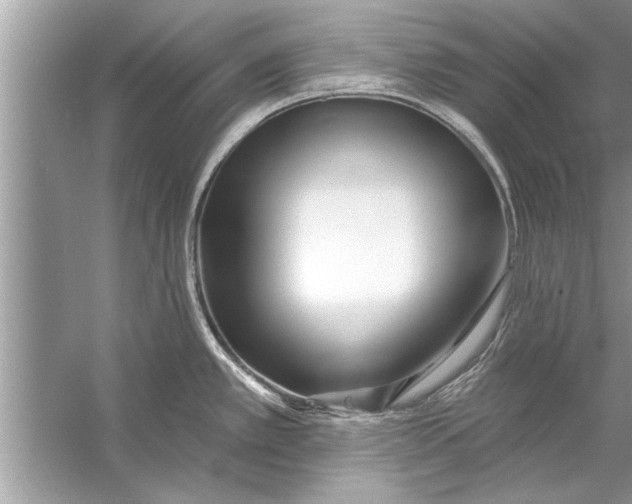 X0000056011389200509162332