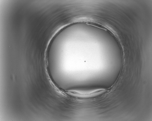 X0000056011392200509162332