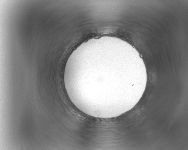 X0000056011393200509162332