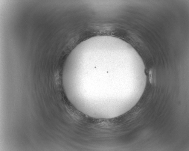 X0000056011395200509162332