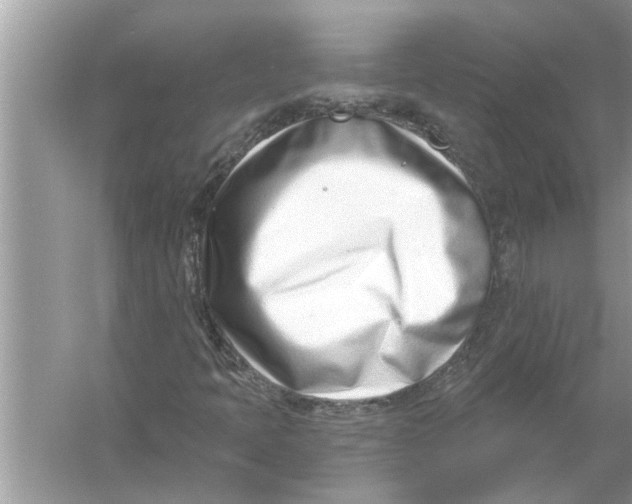 X0000056011397200509162332