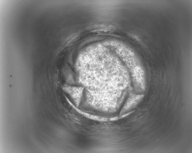 X0000056011399200509162332