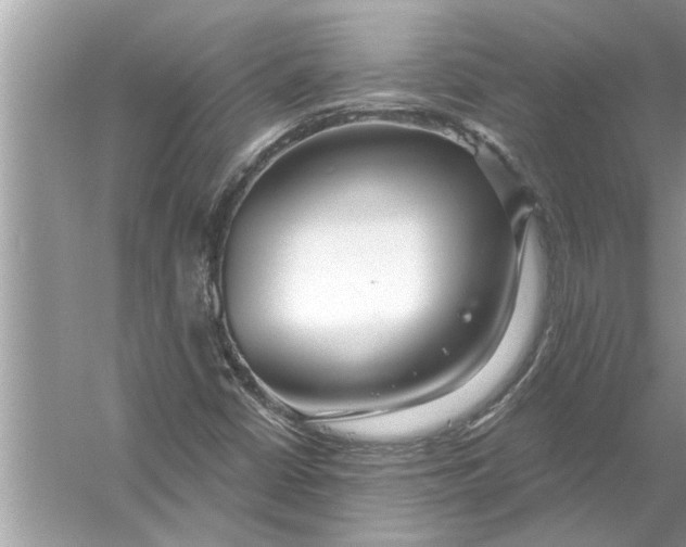 X0000056011402200509162332