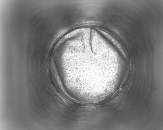 X0000056011405200509162332