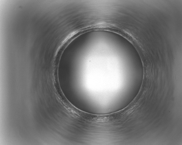 X0000056011410200509162332