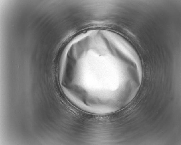 X0000056011411200509162332