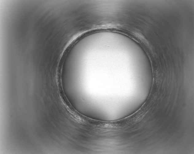 X0000056011412200509162332