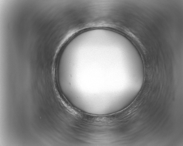 X0000056011416200509162332