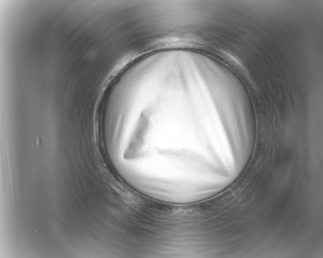 X0000056011419200509162332