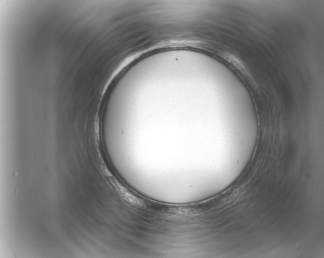 X0000056011420200509162332