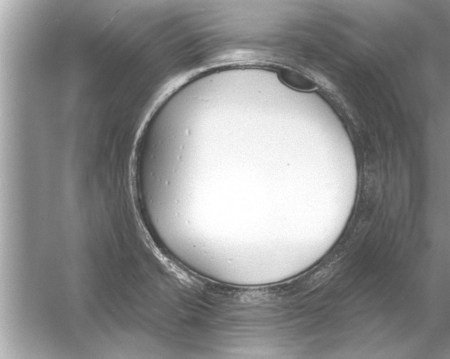 X0000056011421200509162332