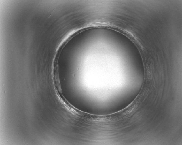 X0000056011422200509162332