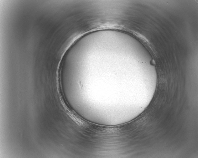 X0000056011423200509162332