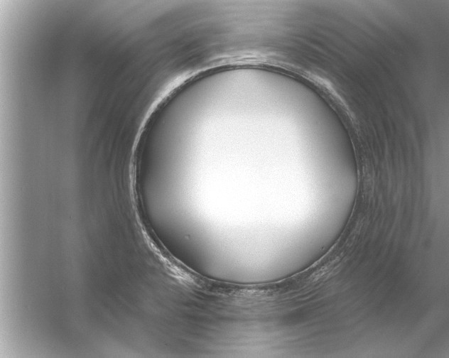 X0000056011424200509162332