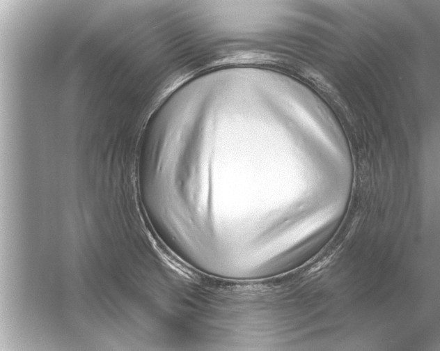 X0000056011425200509162332