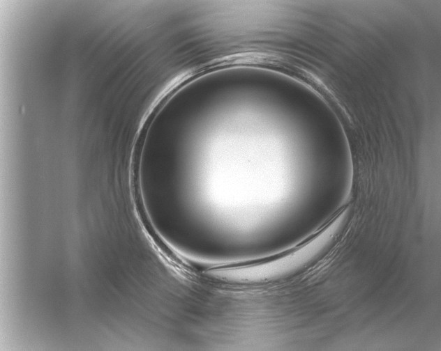 X0000056011426200509162332