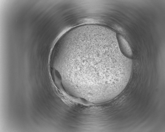 X0000056011427200509162332