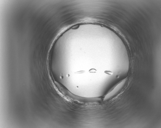 X0000056011429200509162332