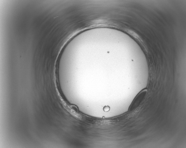 X0000056011431200509162332