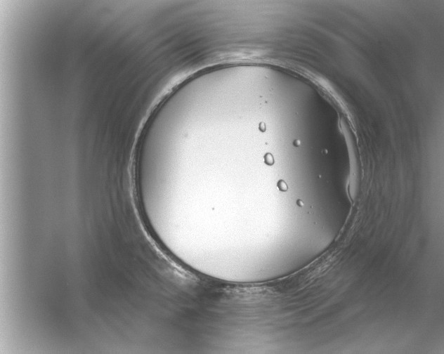 X0000056011432200509162332