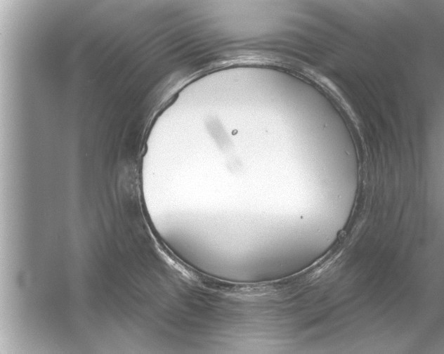 X0000056011433200509162332