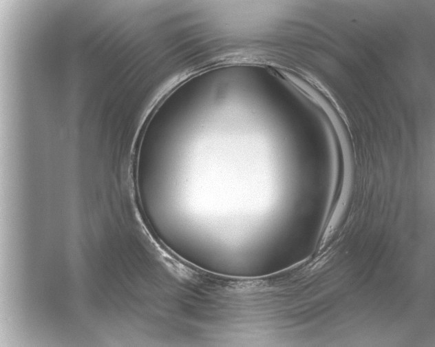 X0000056011434200509162332