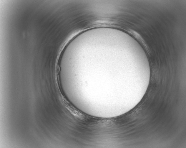 X0000056011435200509162332