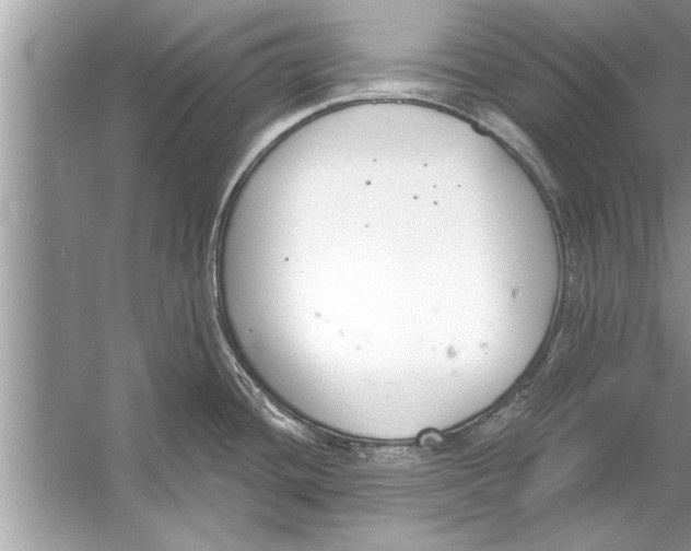 X0000056011436200509162332