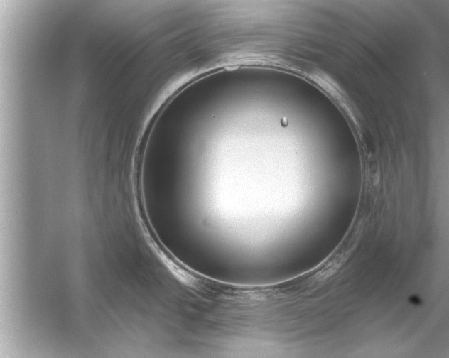 X0000056011438200509162332