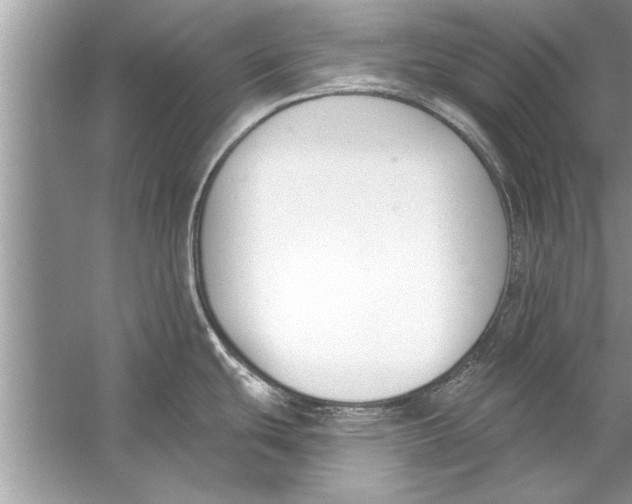 X0000056011439200509162332