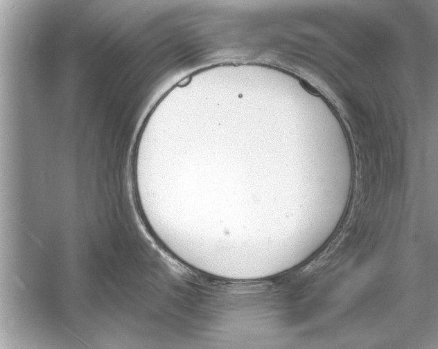 X0000056011440200509162332