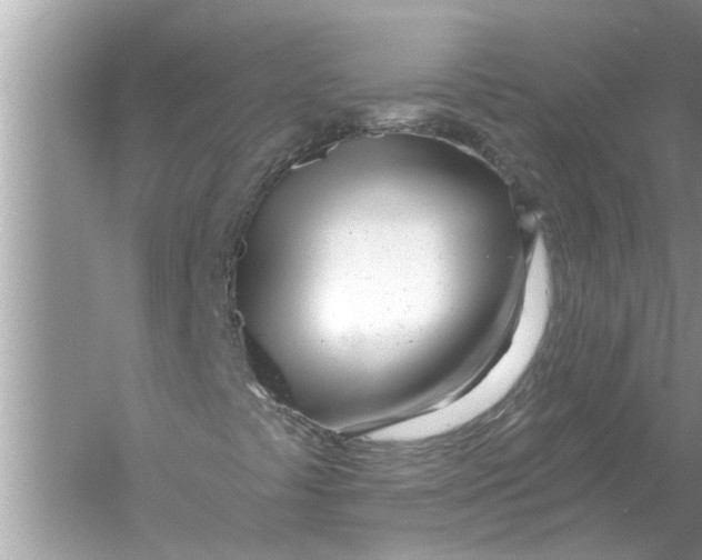 X0000056011441200509162332