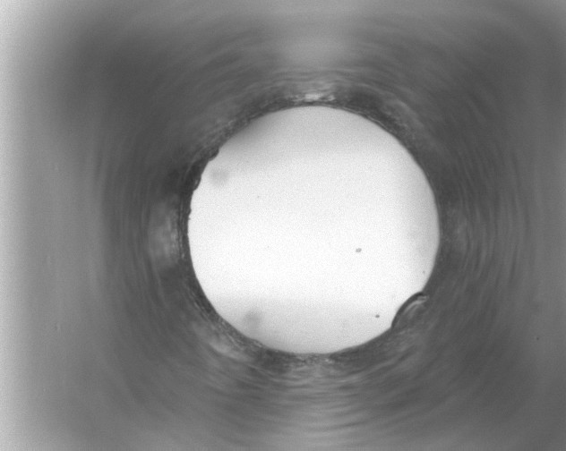 X0000056011442200509162332