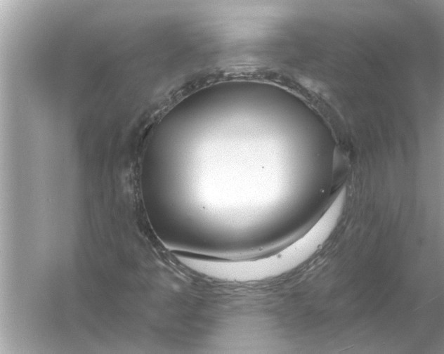 X0000056011445200509162331