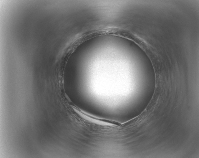 X0000056011447200509162331